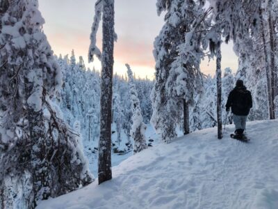 guided day trip in oulanka