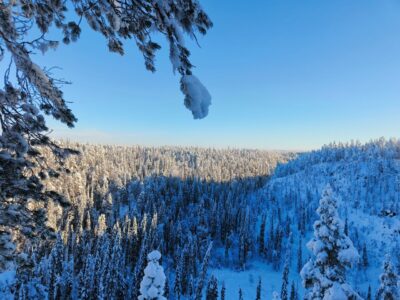 winter magic in oulanka national park